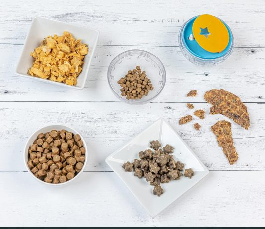 Pet Zone Treat Ball Review pet zone iq treat ball dog treat dispenser toy ball interactive dog toy 4 dog food toy stimulation slow feeder 2