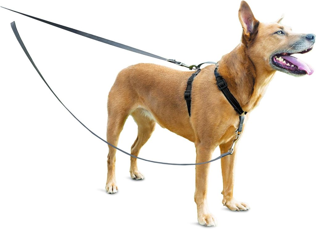 PetSafe Anti-Pull Dog Lead, for Use with PetSafe 3 in 1 Harness, Reflective Nylon, Padded Handle, Converts to 1.2m Single Lead One Size