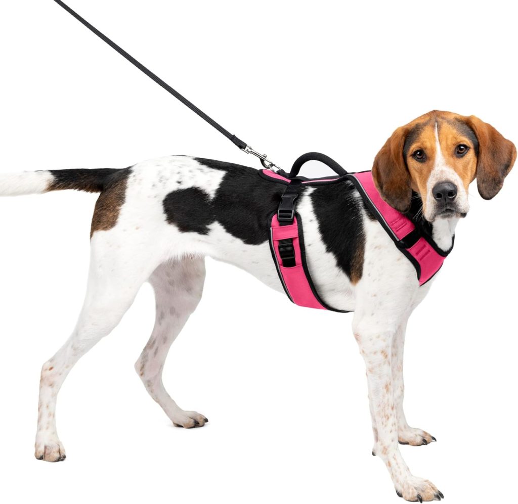 PetSafe EasySport Dog Harness, Adjustable Padded Dog Harness with Control Handle and Reflective Piping, From the Makers of the Easy Walk Harness,Pink,Large