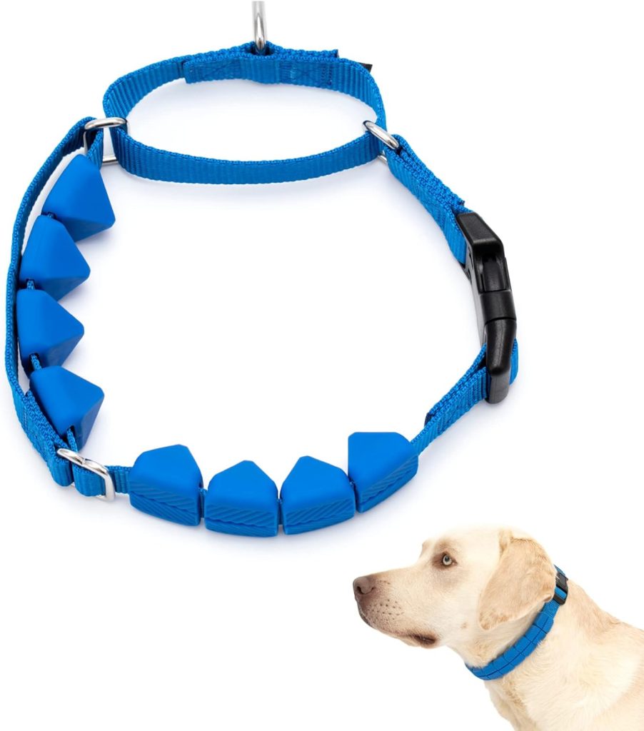 PetSafe Soft Point Training Collar - Helps Stop Pulling - Safer Than Prong or Choke Collars - Teaches Better Leash Manners - No Pull Training Collar with Rubber Points for Dogs - Large, Blue
