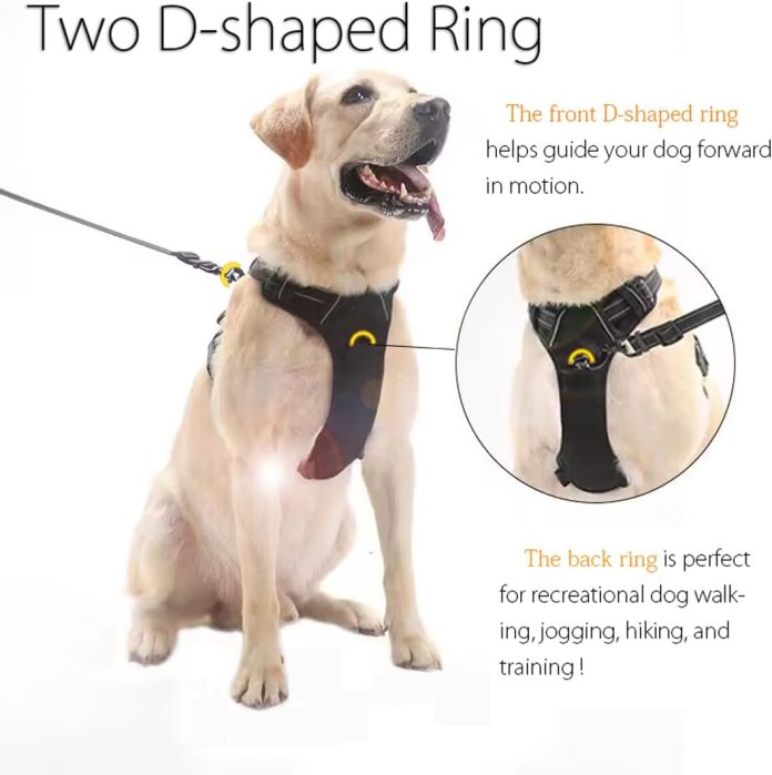product review dog harnesses leashes supplements
