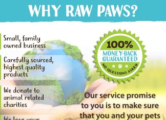 Raw Paws Coconut Oil Review raw paws virgin organic coconut oil for dogs cats 4 oz treatment for itchy skin dry nose paws elbows hot spot lotion for 3