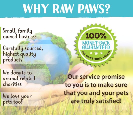 Raw Paws Coconut Oil Review raw paws virgin organic coconut oil for dogs cats 4 oz treatment for itchy skin dry nose paws elbows hot spot lotion for 3