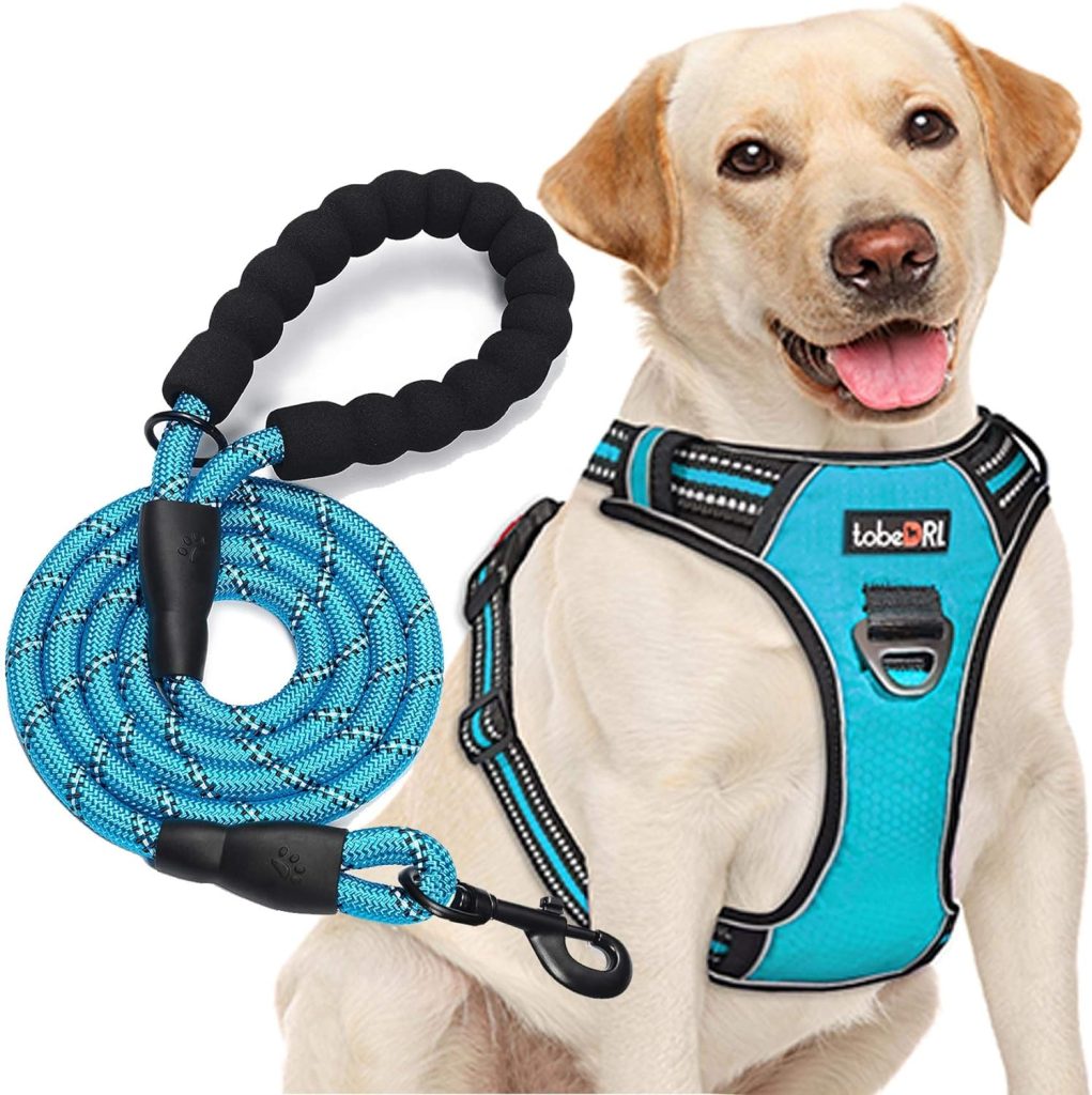 tobeDRI No Pull Dog Harness Adjustable Reflective Oxford Easy Control Medium Large Dog Harness with A Free Heavy Duty 5ft Dog Leash (L (Neck: 18-25.5, Chest: 24.5-33), Blue Harness+Leash)