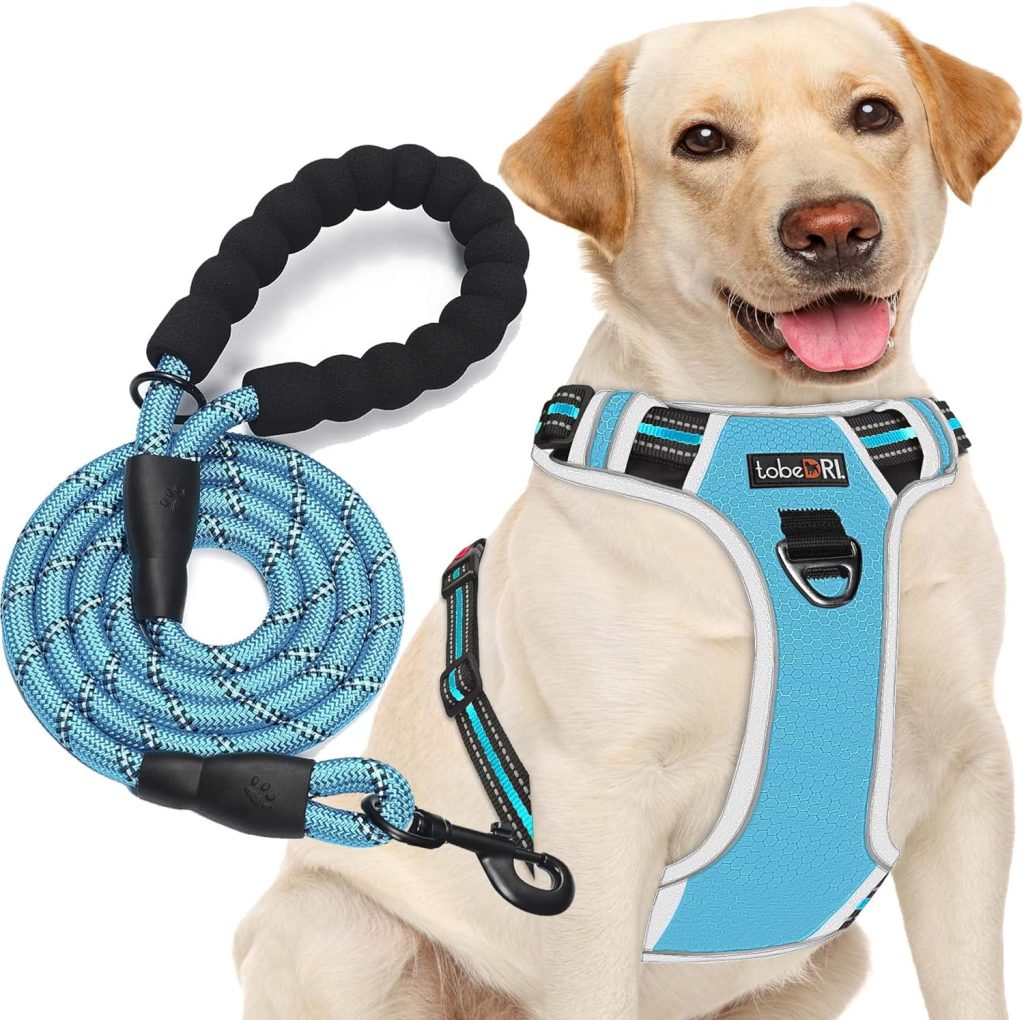 tobeDRI No Pull Dog Harness Adjustable Reflective Oxford Easy Control Medium Large Dog Harness with A Free Heavy Duty 5ft Dog Leash (L (Neck: 18-25.5, Chest: 24.5-33), Blue Harness+Leash)