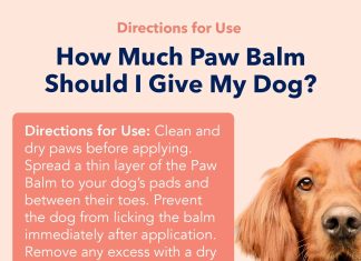 Vets Preferred Paw Balm Pad Protector Review vets preferred paw balm pad protector for dogs dog paw balm soother heals repairs and moisturizes dry noses and paws ide 4
