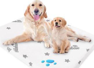 Biloban Dog Beds for Large Dogs Review biloban dog beds for large dogs washable 38 x 26 waterproof large dog bed pad or outdoor pet bed memory foam dog beds fu