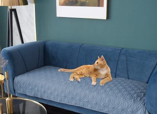 Ameritex Waterproof Dog Bed Cover Review ameritex waterproof dog bed cover pet blanket for furniture bed couch sofa reversible 3