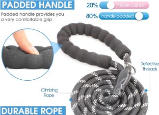 BAAPET 5FT Dog Leash Review baapet 2456 ft dog leash with comfortable padded handle and highly reflective threads for small medium and large dogs 5f 4