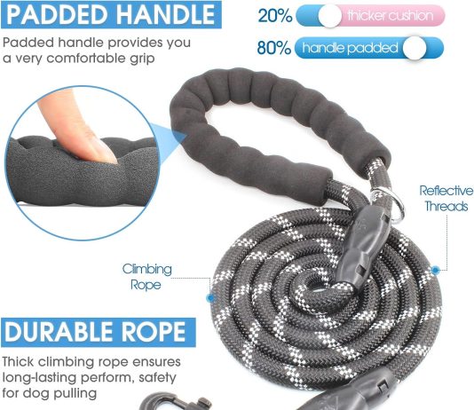 BAAPET 5FT Dog Leash Review baapet 2456 ft dog leash with comfortable padded handle and highly reflective threads for small medium and large dogs 5f 4
