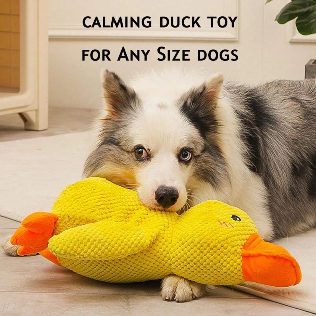 The Mellow Dog Calming Duck Dog Toy Review | Supre Dog