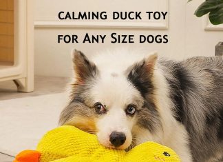 The Mellow Dog Calming Duck Dog Toy Review the mellow dog calming duck dog toy cutated calming pillow for dogs dog duck toy with quacking sound dog stuffed animals 2