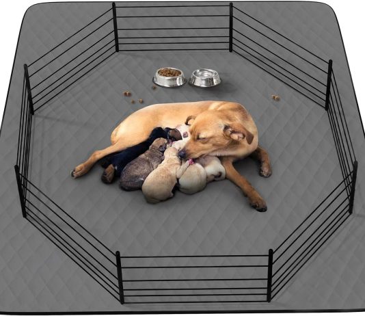 Washable Puppy Dog Pee Pad Review washable puppy dog pee pad 34 x52 waterproof whelping training pet mat for playpen crate potty floor bed sofa and trunk 1 2