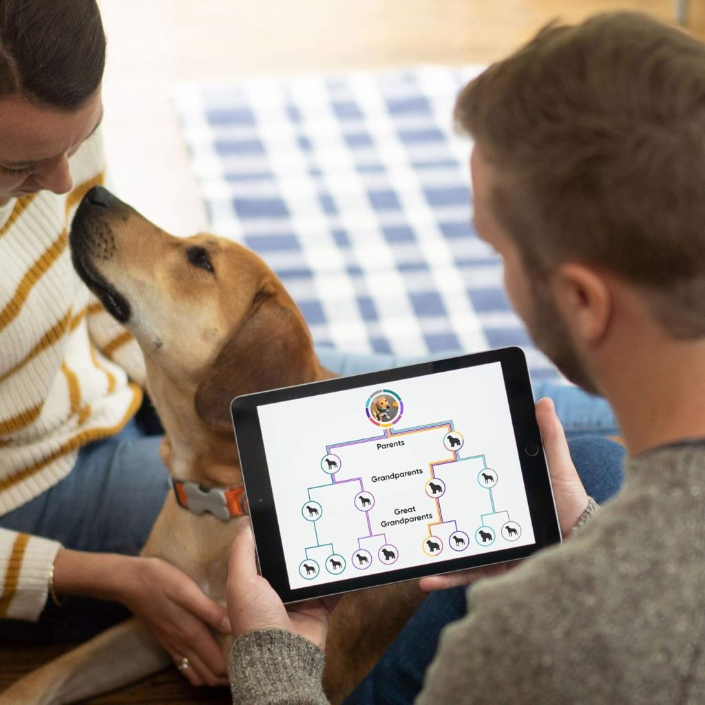 Embark Breed Identification Kit - Most Accurate Dog DNA Testing Kit - 99% Breed Ancestry Accuracy for Mixed Breed Dogs - Plus Relative Finder  Family Tree