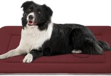 JoicyCo Dog Bed Soft Crate Pad 36in review