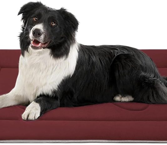 JoicyCo Dog Bed Soft Crate Pad 36in review