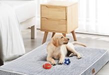 WNPETHOME Orthopedic Waterproof XL Dog Bed review