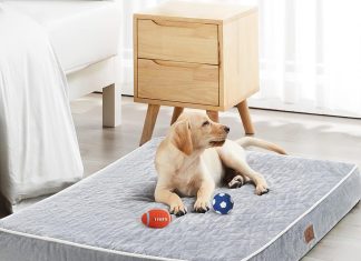 WNPETHOME Orthopedic Waterproof XL Dog Bed review Home |