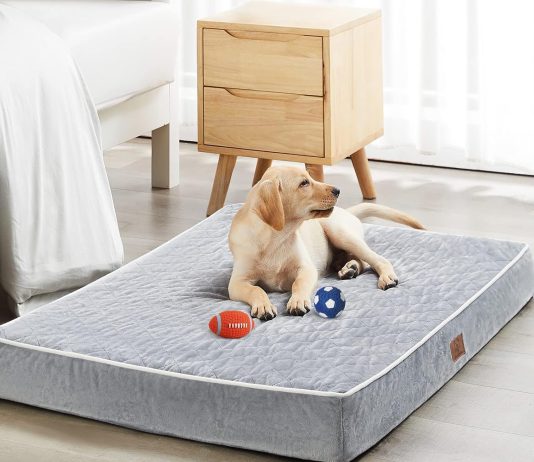 WNPETHOME Orthopedic Waterproof XL Dog Bed review