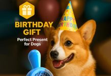 Indestructible Chew Toy for Aggressive Chewers (Ocean Blue) review