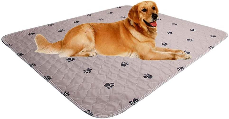SincoPet Washable Dog Pee Pads with Puppy Grooming Gloves,Puppy Pads,Reusable Pet Training Pads,Large Dog Pee Pad,Waterproof Pet Pads for Dog Bed Mat,Super Absorbing Whelping Pads SincoPet Washable Dog Pee Pads with Puppy Grooming Gloves,Puppy Pads,Reusable Pet Training Pads,Large Dog Pee Pad,Waterproof Pet Pads for Dog Bed Mat,Super Absorbing Whelping Pads