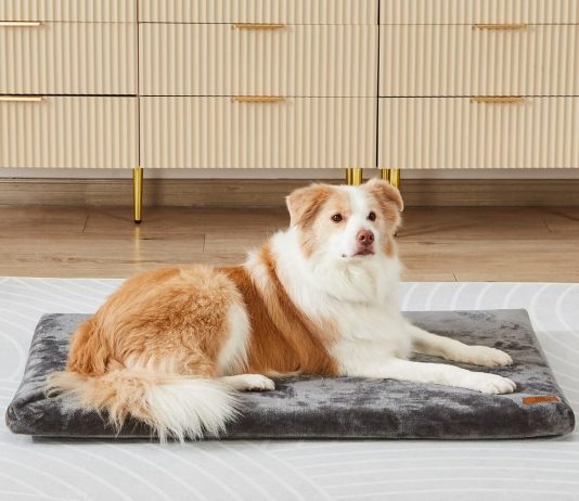 Dog Crate Pad 42-inch Grey review