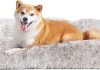 EHEYCIGA Fluffy Dog Crate Bed review