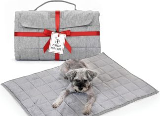 KindTail Nomad Nap Mat review