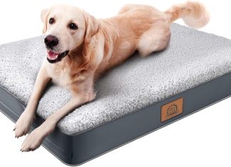 Sunheir Orthopedic Dog Bed review