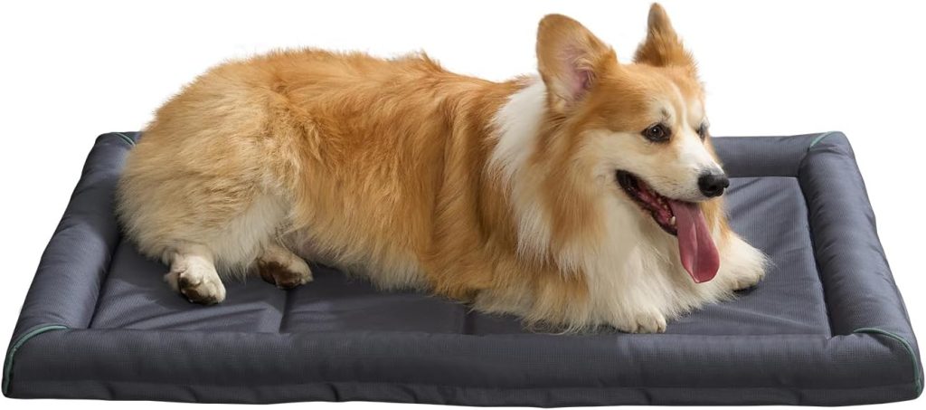 BALANCE Oxford Dog Bed for Large Dogs, Waterproof Dogs Crates Pad Outdoor Dog Crate Mat, Wipe Clean Easy Rinse, 36 inch BALANCE Oxford Dog Bed for Large Dogs, Waterproof Dogs Crates Pad Outdoor Dog Crate Mat, Wipe Clean Easy Rinse, 36 inch