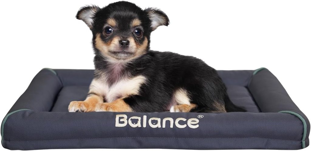 BALANCE Oxford Dog Bed for Large Dogs, Waterproof Dogs Crates Pad Outdoor Dog Crate Mat, Wipe Clean Easy Rinse, 36 inch BALANCE Oxford Dog Bed for Large Dogs, Waterproof Dogs Crates Pad Outdoor Dog Crate Mat, Wipe Clean Easy Rinse, 36 inch