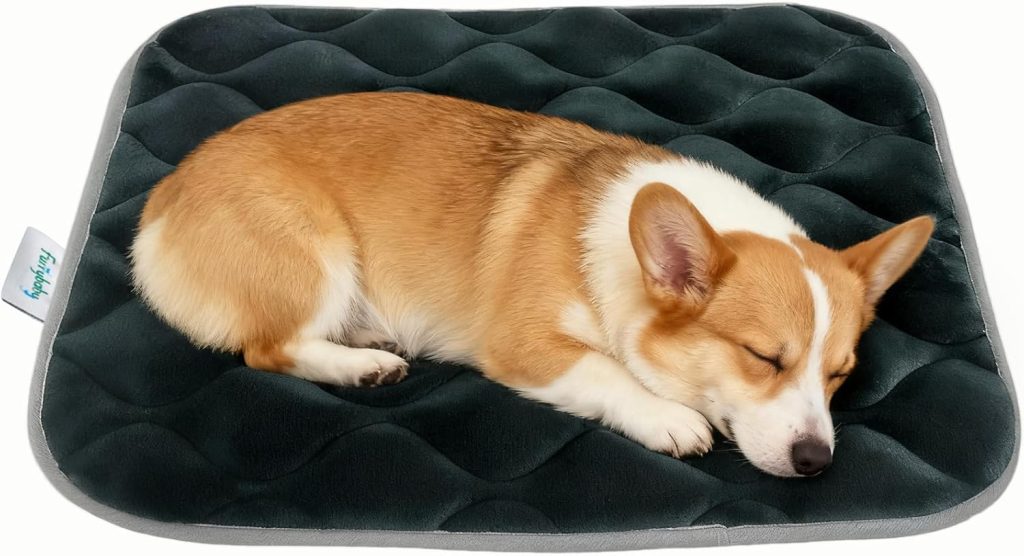 furrybaby Dog Crate Pad for Dog Cages Flat Crate Mat Kennel Pad with Anti-Slip Bottom Machine Washable for Pet Bed Sleeping (S 24x18, Grey Mat) furrybaby Dog Crate Pad for Dog Cages Flat Crate Mat Kennel Pad with Anti-Slip Bottom Machine Washable for Pet Bed Sleeping (S 24x18, Grey Mat)