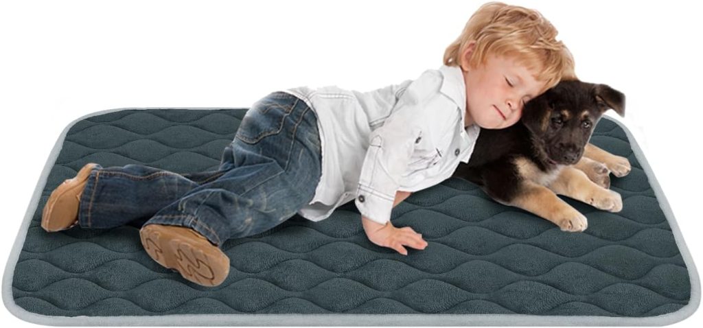 furrybaby Dog Crate Pad for Dog Cages Flat Crate Mat Kennel Pad with Anti-Slip Bottom Machine Washable for Pet Bed Sleeping (S 24x18, Grey Mat) furrybaby Dog Crate Pad for Dog Cages Flat Crate Mat Kennel Pad with Anti-Slip Bottom Machine Washable for Pet Bed Sleeping (S 24x18, Grey Mat)