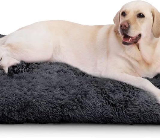 Vonabem Large Dog Bed Crate Pad review