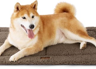 Bedsure Washable Dog Crate Bed review Home |