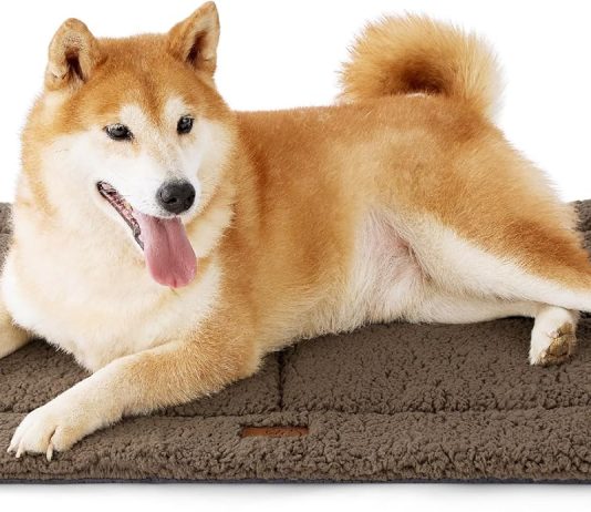 Bedsure Washable Dog Crate Bed review