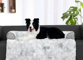 Calming Small Dog Bed for Couch review Home |