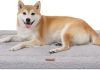 Dog Beds Crate Pad for Large Dogs review