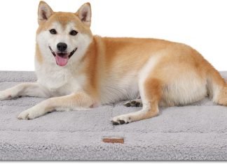 Dog Beds Crate Pad for Large Dogs review Home |