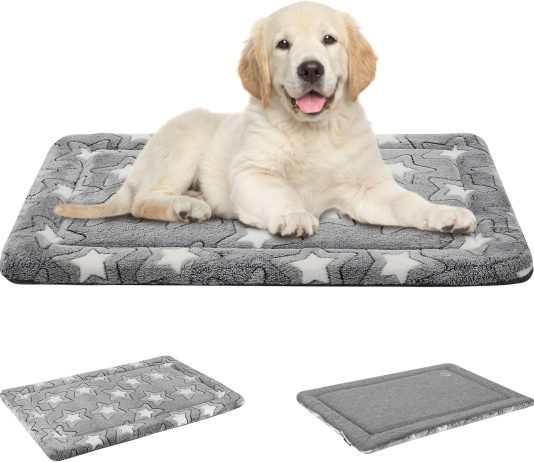 EMPSIGN Reversible Kennel Mat review