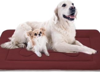 JoicyCo Large Dog Bed 42in review Home |