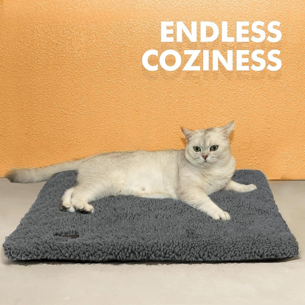 Self Warming Cat Bed Self Heating Cat Dog Mat 29.1 x 18.9 inch Extra Warm Thermal Pet Pad for Indoor Outdoor Pets with Removable Cover Non-Slip Bottom Washable Non Electric Self Warming Cat Bed Self Heating Cat Dog Mat 29.1 x 18.9 inch Extra Warm Thermal Pet Pad for Indoor Outdoor Pets with Removable Cover Non-Slip Bottom Washable Non Electric