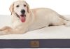 Bedfolks Orthopedic Dog Bed for Extra Large Dogs – Egg Foam Dog Crate Bed with Removable Waterproof Cover, Pet Bed Mat Suitable for Dogs and Pets Up to 100 lbs (44 x 32 x 3.5 inches, Grey)