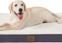 Bedfolks Orthopedic Dog Bed for Extra Large Dogs – Egg Foam Dog Crate Bed with Removable Waterproof Cover, Pet Bed Mat Suitable for Dogs and Pets Up to 100 lbs (44 x 32 x 3.5 inches, Grey)