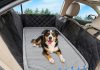 Dog Car Bed, Non-Slip Backseat Extender Pet Mat, Removable Washable Dog Bed for SUVs, Sedans & Trucks, Anti-Slip Travel Bed for Dogs, Easy Clean & Scratch-Proof & Comfort (56″x28.7″)