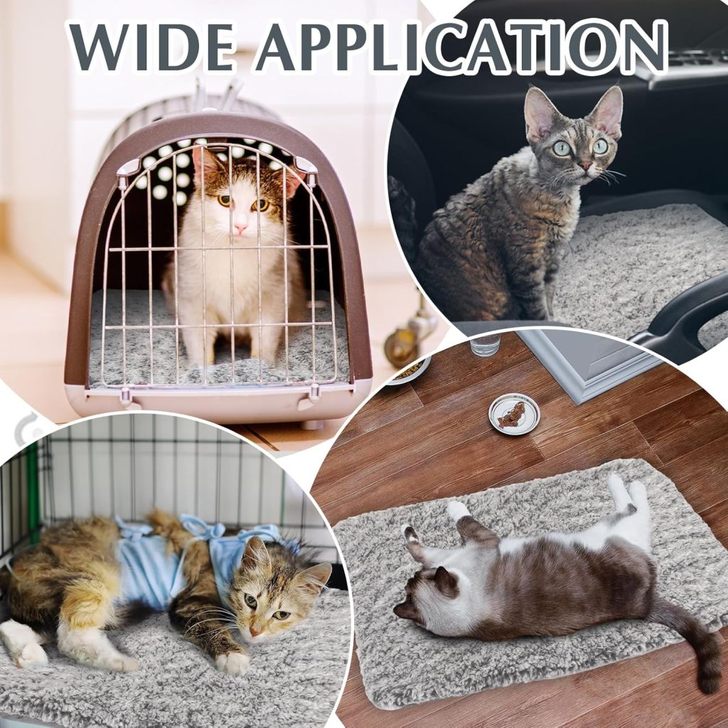 Drydiet Pack Self Warming Cat Pads Self Heating Cat Mat Washable Homeless Dogs Thermal Pads Kennel Pad Reflects Body Heat Warm Crate Bed Mat for Indoor Outdoor Pet(Gray,22 x Inch) Drydiet Pack Self Warming Cat Pads Self Heating Cat Mat Washable Homeless Dogs Thermal Pads Kennel Pad Reflects Body Heat Warm Crate Bed Mat for Indoor Outdoor Pet(Gray,22 x Inch)