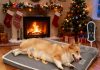 Heated Dog Bed for Large Dogs, 40×27 Inch Pet Sofa with 9-Level Adjustable Warmer, Waterproof Lining, Machine-Washable Removable Cover Non-Slip Bottom, Gray Home |
