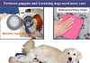 Pet Heating Pad for Large Dogs & Cats – 34″x21″ Waterproof Heated Bed with Chew-Resistant Cord, Adjustable Temperature & Removable Washable Cover Home |