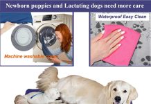 Pet Heating Pad for Large Dogs & Cats – 34″x21″ Waterproof Heated Bed with Chew-Resistant Cord, Adjustable Temperature & Removable Washable Cover