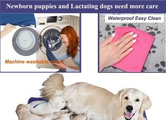 Pet Heating Pad for Large Dogs & Cats – 34″x21″ Waterproof Heated Bed with Chew-Resistant Cord, Adjustable Temperature & Removable Washable Cover Home |